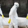 Por Ebola, profissionais de saúde ameaçam greve na Libéria