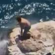 Australiano se desculpa por "surfar" em carcaça de baleia