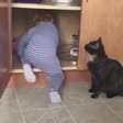 Gato aproveita descuido e faz travessura com bebê