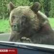 Família filma encontro com urso em 'parque do Zé Colmeia'