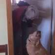 Cachorro recusa beijo e vídeo faz sucesso na web