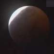 Eclipse lunar delicia contempladores da Lua