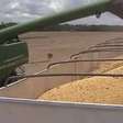 Top Agro: 25% dos produtores de soja dos EUA planejam reduzir plantação
