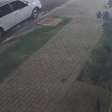 Flagra: trio furta objetos de carro no Centro de Cascavel