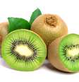 O kiwi tem propriedades antioxidantes, anti-inflamatórias, antiagregantes plaquetárias, redutoras de triglicerídios e atividade antibacteriana.  Foto: Shutterstock