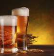 O lúpulo, encontrado na cerveja, tem ação anti-inflamatória e diversos benefícios para a saúde  Foto: Getty Images