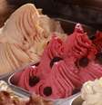 A Stuzzi gelateria oferece 16 sabores de gelato  Foto: Divulgação