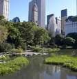 Central Park é um dos pontos turísticos mais famosos de Nova York, nos EUA.  Foto: Alex Lopez/GoNewYork / Divulgação