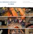 Montagem mostra diversas fotos tiradas pelos ativistas que salvaram os gatos após o acidente de trânsito  Foto: Reprodução