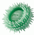 Rolly brush tem fluoreto e xilitol que fortalecem o esmalte dos dentes. A limpeza fica por conta das 276 minicerdas da pastilha de hortelã.  Foto: Reprodução