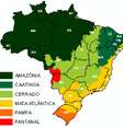 Mapa mostra distribuição dos biomas brasileiros  Foto: CSR/Ibama / Reprodução