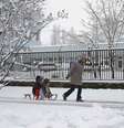 <p>Mãe usa trenó para puxar seus filhos em rua coberta pela neve em Budapeste, na Hungria, no começo da primavera no Hemisfério Norte</p>  Foto: Reuters