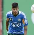 <p>Destaque do Palmeiras no Campeonato Paulista, Leandro (foto) não poderá disputar a Libertadores pelo time</p>  Foto: Ricardo Matsukawa / Terra