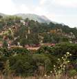 <p>Monte Verde</p>  Foto: Ana Paula Hirama/Flickr / Reprodução