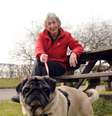 <p>Britânica afirma que cadela salvou sua vida ao 'encontrar' tumor</p>  Foto: The Grosby Group