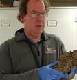 Timothy McCoy gerencia um acervo de 35 mil amostras de meteoritos  Foto: BBC News Brasil