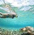 <p>Belize</p>  Foto: Getty Images 