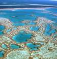 <p>A Grande Barreira de Coral é uma das mais belas paisagens naturais do planeta</p>  Foto: Australia Tourism