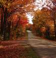 <p>A estrada possui 755 km entre os estados de Virginia e Carolina do Norte</p>  Foto: Brian Lion/Flickr
