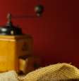 Cafeicultores registram perdas por conta da alta nos custos  Foto: Shutterstock