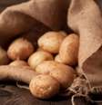 Brasil produz 1% das batatas do mundo, com 3,6 milhões de toneladas/ano  Foto: Shutterstock