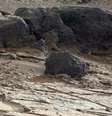 Pedra na cratera Gale deve ser estudada em Marte antes de a Curiosity partir para seu último destino, o monte Sharp  Foto: AP