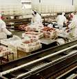 Perspectivas da Associação Brasileira da Indústria Produtora e Exportadora de Carne Suína são positivas para o segundo semestre de 2013  Foto: Abipecs
