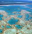 <p>A Grande Barreira de Coral da Austrália é uma das maravilhas que estão ameaçadas</p>  Foto: Tourism Australia