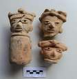 Fósseis antigos, chifres de veado, restos de tartaruga e peixes, além de sepulturas pré-hispânicas e até uma pirâmide foram encontrados por arqueólogos no México  Foto: EFE
