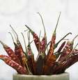 <p>Estudo diz que pessoas mais propensas a aventuras preferem comidas apimentadas</p>  Foto: Getty Images 