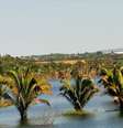<p>Cidade do interior brasileiro é rica em belezas naturais</p>  Foto: Divulgação