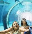 <p>Túnel passa por tanque cheio de tubarões</p>  Foto: Reprodução