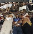 Corpos de seguidores da Irmandade Muçulmana são vistos enfileirados em necrotério improvisado nos arredores mesquita Rabaa al-Adawiya  Foto: Reuters