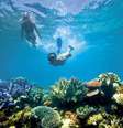  Foto: Tourism Australia / Divulgação