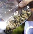 <p>Saco de maconha em feira da droga no Estado de Washington: a legalização é a tendência geral dos EUA?</p>  Foto: AP