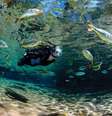 <p>Nobres, a 180 km de Cuiabá, lembra Bonito por conta das cachoeiras, grutas e rios de águas cristalinas, onde rolam flutuações</p>  Foto: Tales Azzi, Clarissa Donda e Victor Andrade / Viaje Mais