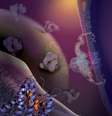 A proteína CCR5, uma das duas formas de entrada do vírus HIV nos humanos, foi  mapeado em alta resolução por cientistas  Foto:  Wu lab, SIMM/The Scripps Research Institute / Divulgação