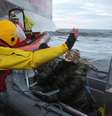 <p>Seu barco, o&nbsp;<em>Arctic Sunrise</em>, foi interceptado em 19 de setembro por um grupo da guarda costeira russa e rebocado para Murmansk</p>  Foto: Divulgação