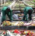 Funcionários de um cemitério da capital do Quênia colocam flores em uma das sepulturas  Foto: AFP