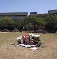 Vasos de flores, fotos, velas e uma flâmula do time do Palmeiras estão no gramado na Praça do Ciclo Baísico 2, onde o estudante Denis Casagrande recebeu os primeiros socorros  Foto: Rose Mary de Souza / Especial para Terra