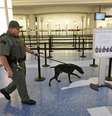 Policial vistoria terminal do aeroporto de Jacksonville com cão farejador  Foto: AP