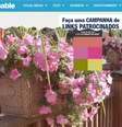 Aplicativo da Sherwin Williams identifica cores primárias da imagem e apresenta tintas correspondentes  Foto: Mashable / Reprodução