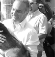 <p>Deputado se tornou responsável por duas cadelas resgatadas até decisão da Justiça</p>  Foto: Facebook / Reprodução