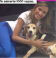 <p>Apresentadora e ativista Luisa Mell posa com um dos cães resgatados e diz não estar arrependida de ação no Instituto Royal</p>  Foto: Instagram / Reprodução