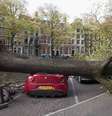 28 de outubro - Árvore que caiu sobre carro e matou mulher junto ao canal Herengracht, em Amsterdã, na Holanda   Foto: Reuters