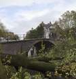 Ventos derrubaram árvore no canal Herengracht, em Amsterdã  Foto: Reuters