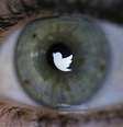 <p>Na última sexta-feira, o Twitter já havia reportado os problemas de acesso no Iraque por meio de seu perfil de política pública</p>  Foto: Fabrizio Bensch / Reuters