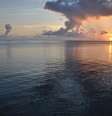 Ilha de Santa Catalina, na Califórnia  Foto: Colombia Travel