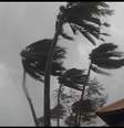 Cinegrafista viajou a Tacloban especialmente para captar imagens da tempestade, que devastou a cidade  Foto: BBC News Brasil