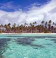  Foto: Luc Olivier/Martinique Tourist Board